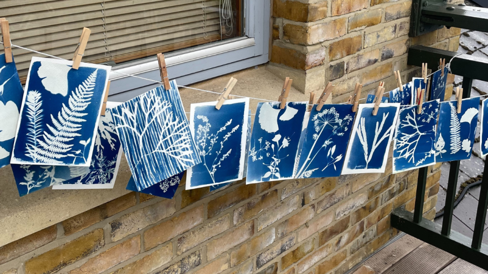 View: Cyanotype Printmaking Workshop